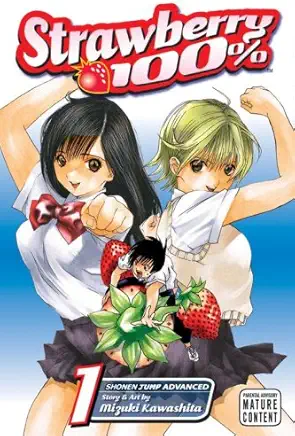Strawberry 100% cover Strawberry 100% cover